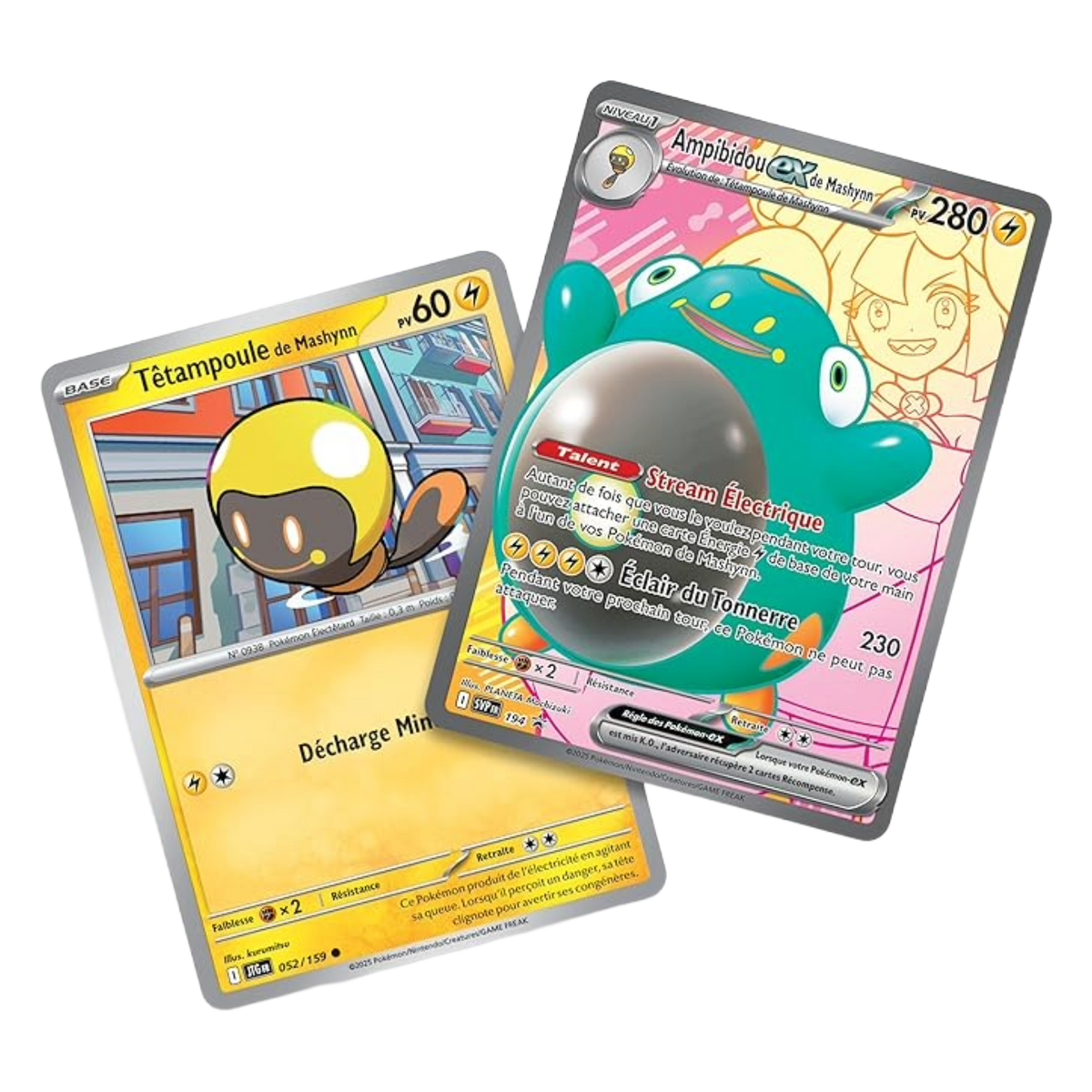 Pokémon Collection Premium Ampibidou de Mashynn ex (FR)